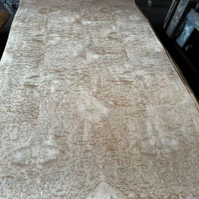 Madonna Burl Bark 6 Madonna Burl Bark 6